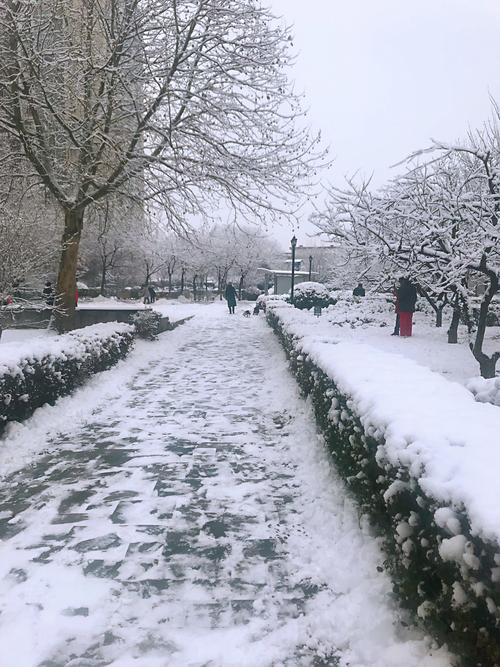 昨天晚上9点多开始下雪了,直到今天早上5点左右才结束.