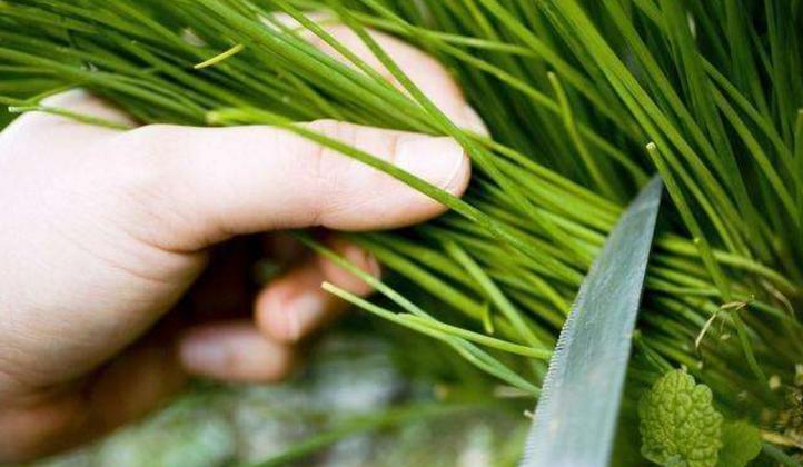 一个"韭菜"的自白:要想不被"割韭菜",从这两方面改变!