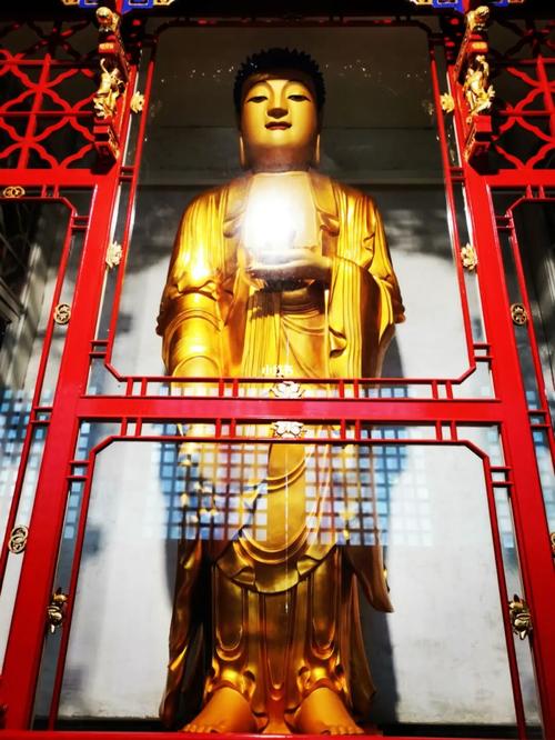 我们昨天在普陀山法雨寺,看见一尊阿弥陀佛_蜈蚣峙码头自由行热门攻略