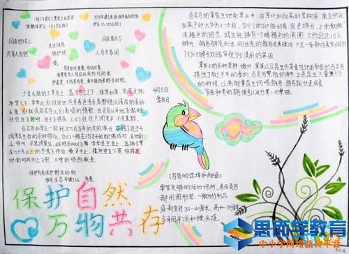 爱鸟周的手抄报图片大全模板简单又漂亮