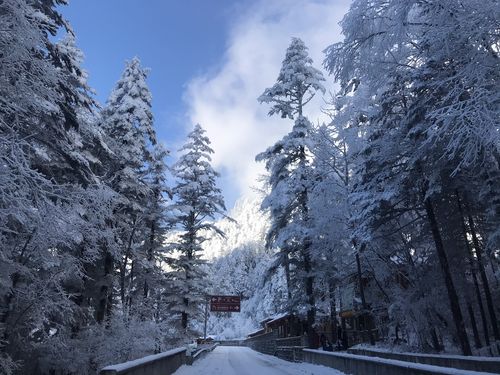 冰雪世界—海螺沟冰川森林公园一号冰川_四川自驾游论坛_123活动网