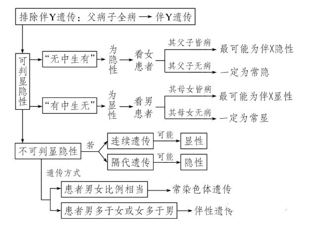 基因在染色体上,伴性遗传和人类遗传病