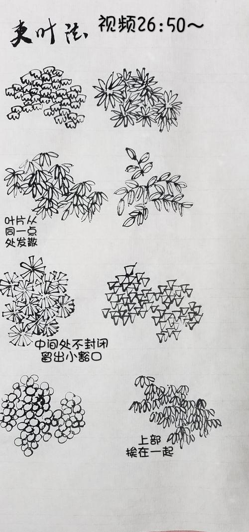 山水专项提高课程 梦柯0507 第九课 夹叶树