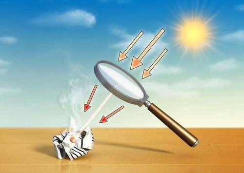 东阿阿胶幼儿园大二班科学活动"有趣的放大镜"