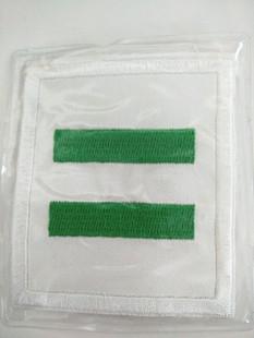标准款少先队队标 中队长二道杠绿色 刺绣棉布标志加防护套含别针