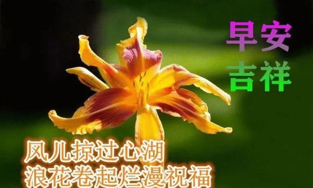 2022年1月21日星期五漂亮早上好问候动态表情图片带字