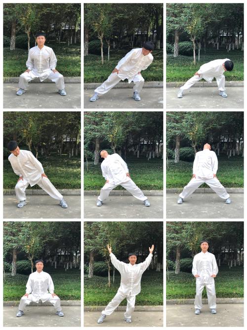 八段锦-第五式-摇头摆尾去心火-友情分享