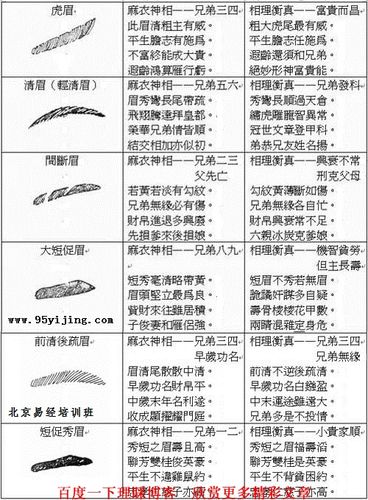图解女人眉毛形状与命运关系