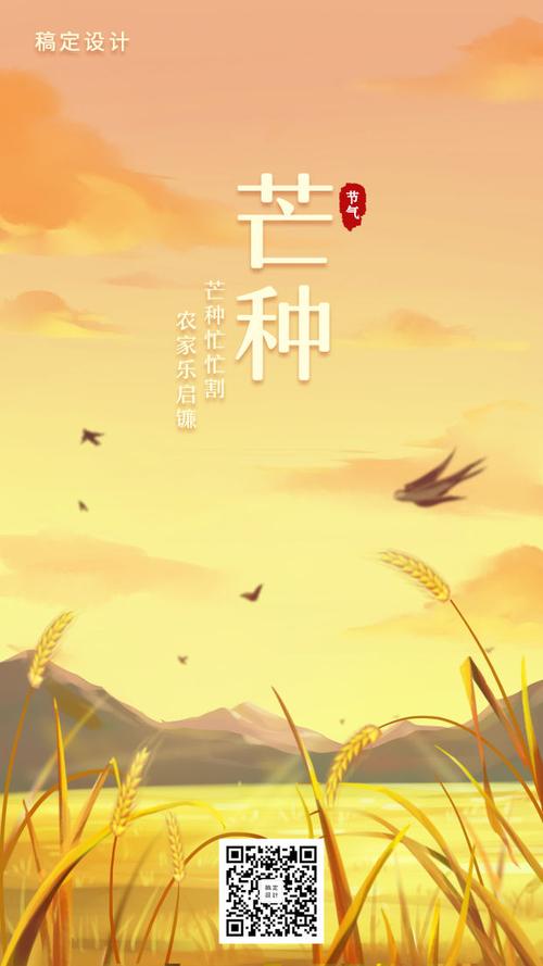 芒种/节气插画/手机海报