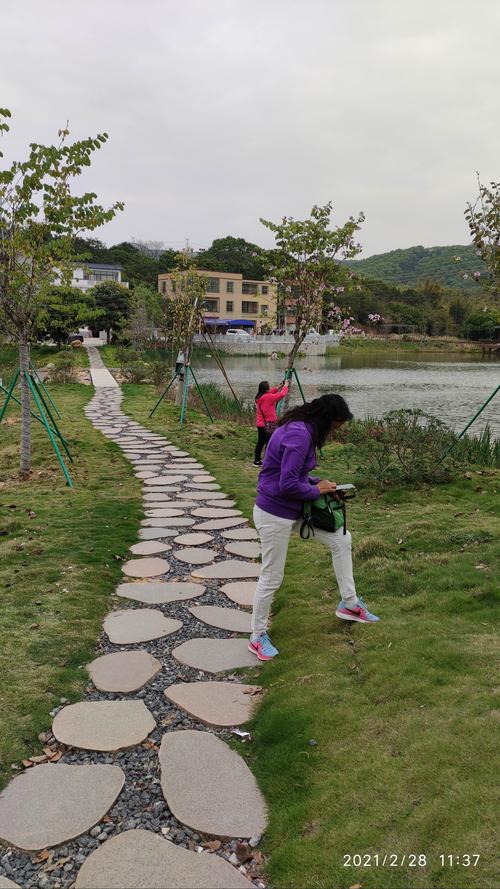 黄埔迳下村的油菜花