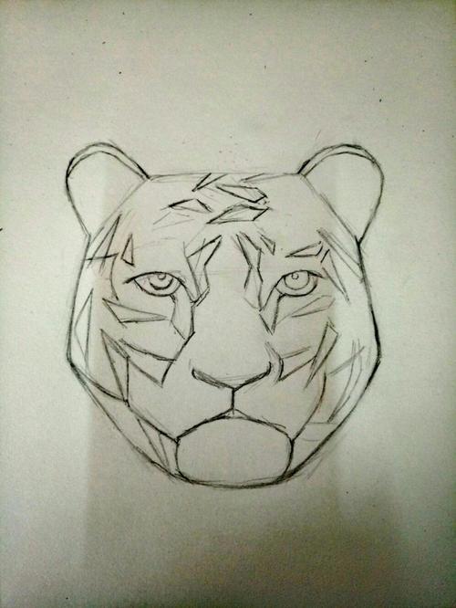 画老虎素描简笔画