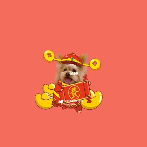 约克夏瓜瓜||新年卡通头像_约克夏_新年去哪玩_卡通头像_素材_头像