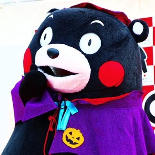 kumamon##熊本部长# 熊本熊万圣节南瓜装( ′艸")
