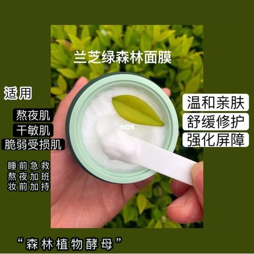 我的护肤神器——兰芝绿森林睡眠面膜