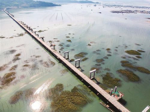 霞浦东冲公路磺砂特大桥计划于明年8月份通车