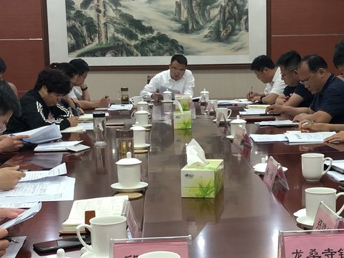 王帅同志调度重点招商项目进展情况