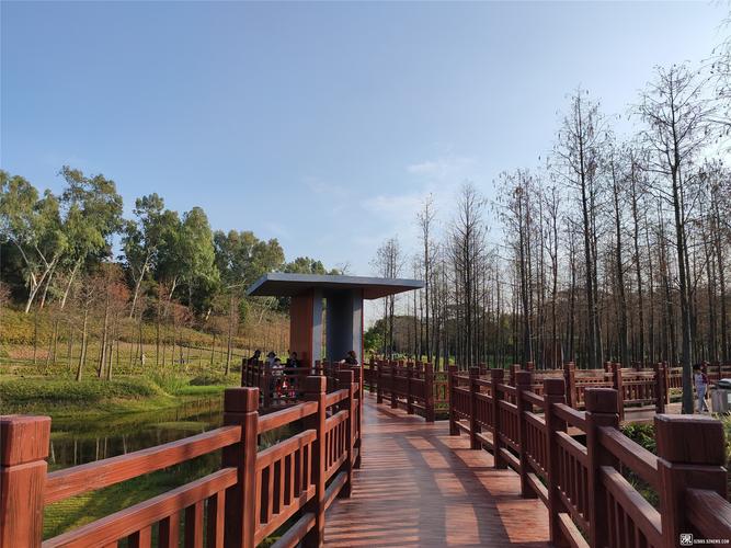 春节打卡深圳龙岗红花岭公园,美不胜收