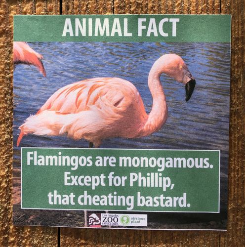 prankster leaves fake animal facts at zoo