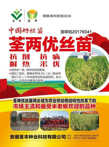 晶两优华占,望两优1133,荃两优丝苗