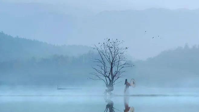 简媜:相忘于江湖