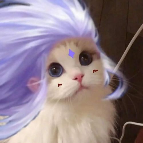 王者荣耀:猫咪头像云中君高清图头像