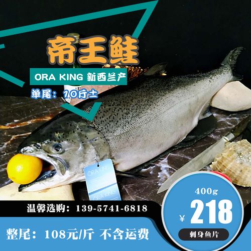 帝王鲑新西兰正关进口日料寿司刺身生鱼片深海养殖冰鲜限量三文鱼