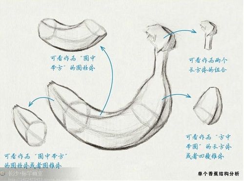 素描画香的结构蕉步骤要图文步骤