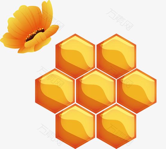矢量手绘蜂巢插画素材矢量