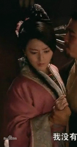 贾夫人