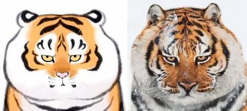 的老虎一改人们刻板印象里高大凶猛的样子,而是像肉球一样,又胖又呆萌