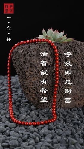 一念禅丨呼吸即是财富,活着就有希望