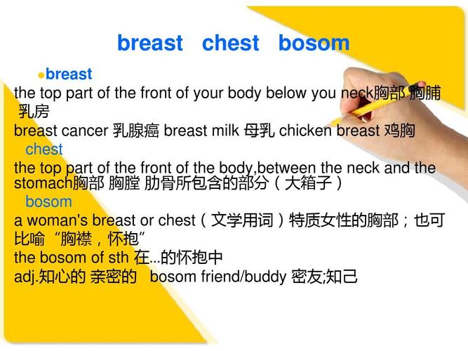 精读第四册词语辨析 chest brest bosom, radge rim border,swear