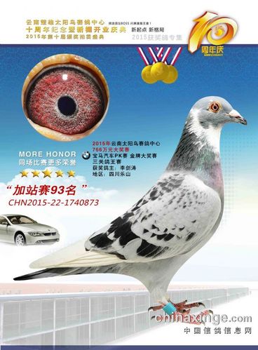 云南楚雄太阳鸟赛鸽中心复赛88名—94名照片欣赏