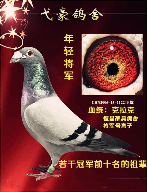 克拉克年轻将军近亲直女 保证金级 拍卖