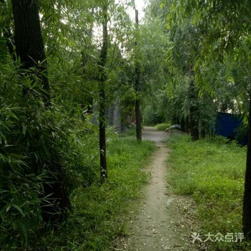 河北野生原度假村