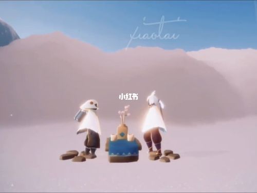 光遇/白鸟 菇菇日常 cp天青色等烟雨_光遇_白鸟怎么样