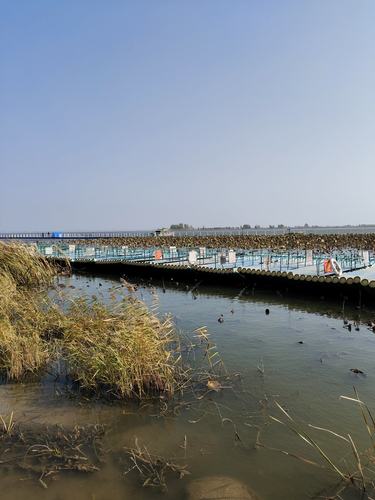 游吉林松原查干湖记