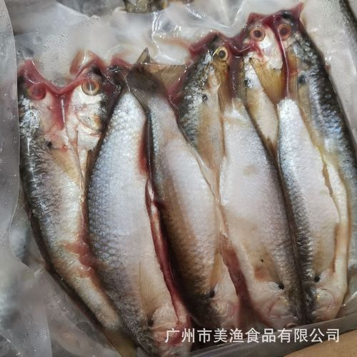 冷冻海鲮鱼 三区小海鱼 软骨鱼海陵小鱼约10条/包 400