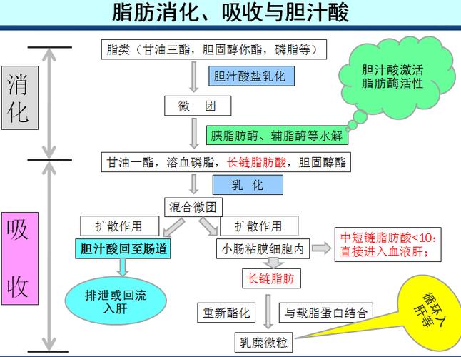 水产鱼药添加剂 龙昌胆汁酸 预防加州鲈脂肪肝 提高加州鲈抗病力