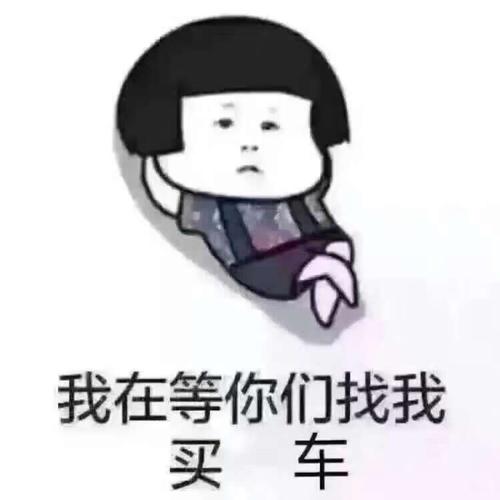 卖车,我是专业的,卖车我是认真的