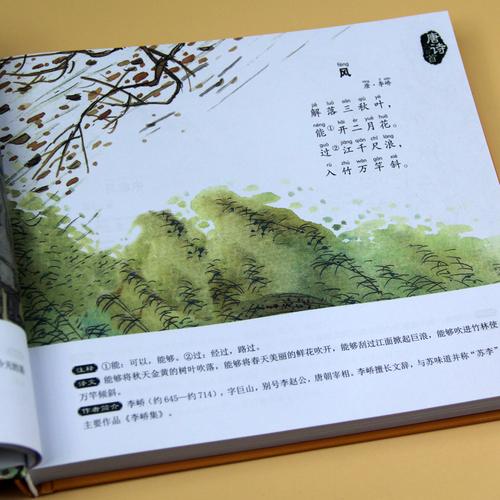拼音小学生完整版300首古诗词五言绝句少儿童书籍036岁宝宝故事书绘本