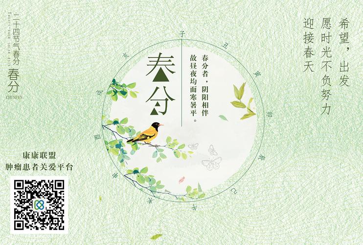 二十四节气春分海报