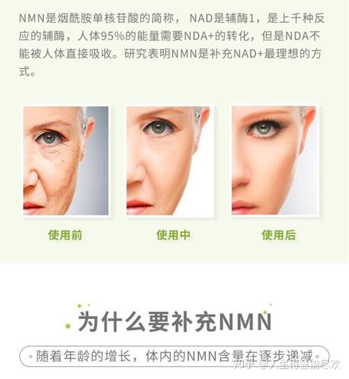 为什么会衰老?nmn抗衰效果是真的吗?