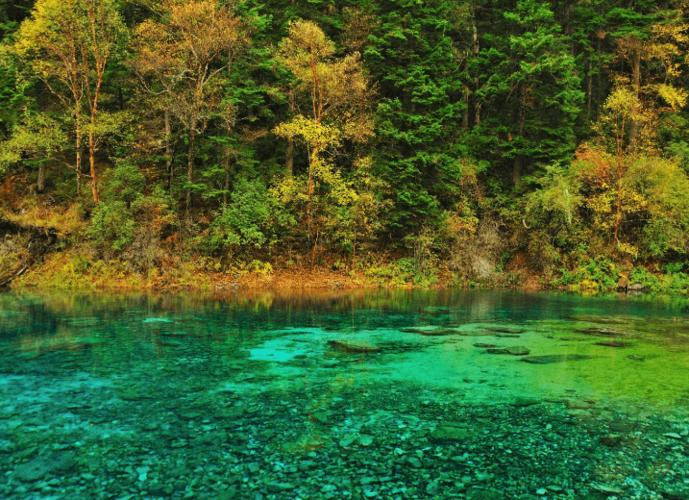 九寨沟,位于四川省阿坝藏族羌族自治州九寨沟县境内,国家5a级景区