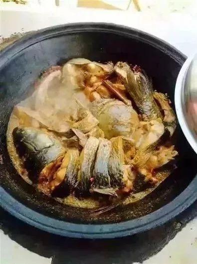 磴口的"鸡勾鱼"/ 唐永刚