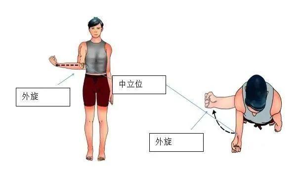 5,双肩内收外展运动 双手在颈后部交叉,肩关节尽量内收及外展,反复数
