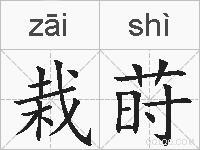 栽莳怎么读音(拼音)