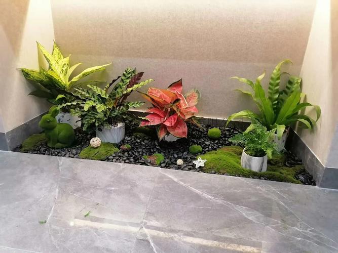 盐田区室内微景观设计 花草租摆公司 送货上门_深圳市豪霖园艺设计