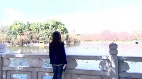 遇见王沥川 电视剧《遇见王沥川》中,"翠湖宾馆","金马坊"这些场景都