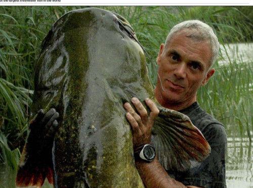 英制片追踪河流深处"淡水怪兽"拍纪录片